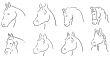 horses