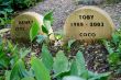 Animal Graves