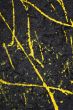 yellow paint on the wall