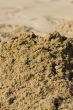 sea sand