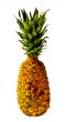 Isolated Pineapple