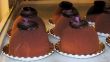 Fresh Baked Chocolate Mousse Tortes