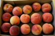 Organic Summer Peaches
