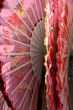 Japanese Fans