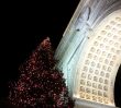 Christmas Tree in NYC