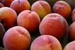 Fresh Organic Summer Peaches