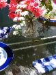 Still Life Of Garden Luncheon