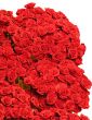 Large bouquet of Red Roses