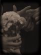 Bride and Groom Exchanging Rings in Wedding