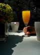 Mimosas At Brunch