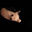 Sterling Silver Piggy Bank