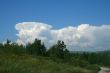 Clouds and pines