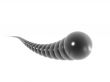 ball snake