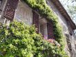 House flowered balcony in Assisi