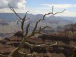 Lonelyness in Grand Canyon