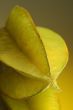 Carambola №2