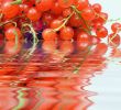 Red currants in water