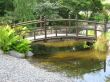 Japaneese garden with small bridge