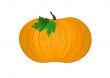 Pumpkin Illustration on White Background