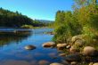 a mountain stream