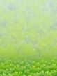 background with clover
