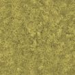 Dry grass
