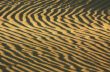 waves of sand