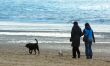 walking on the beach