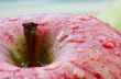 Macro photo of an apple