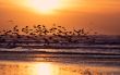 beach and sunset
