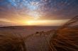 Beautiful sunset and sand dunes