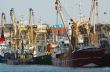 fishing ships