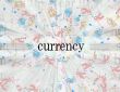 currency concept with euro bills
