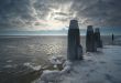winter landscape