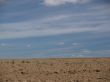 The ploughed field in hot day