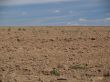 The ploughed field in hot day