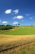 idyllic summer scenery