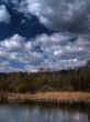 Pond in the spring in clear day