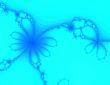 Butterfly daisy petal