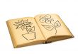 book with flower drawings