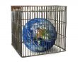 world confined in a cage
