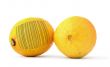 lemons with bar code