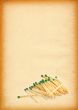 matches on paper