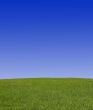 peaceful grassland scenic