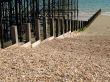 Groynes between pier and pebbly beach