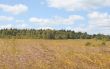 Sunny autumn landscape