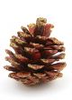 christmas decorative cone