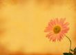 retro background with flower motive