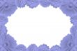 high resolution gerbera frame