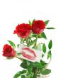 love message